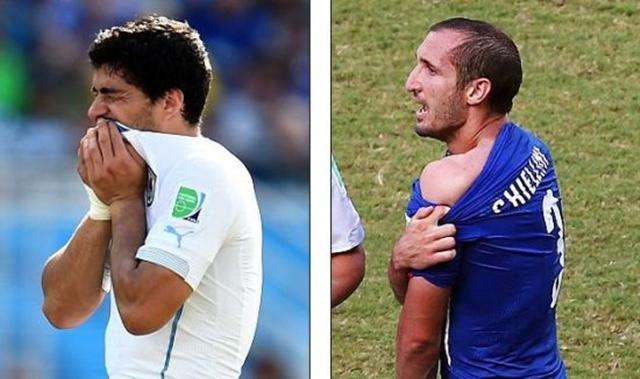 我们看到了 我们看到了