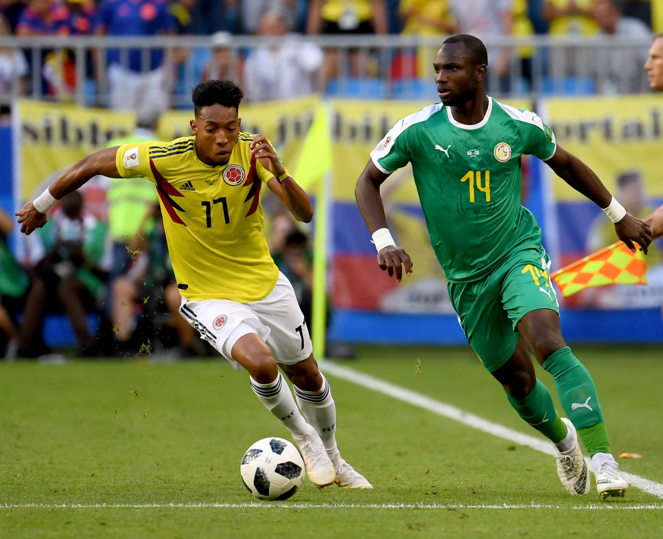 布朗尼的加 布朗尼的加